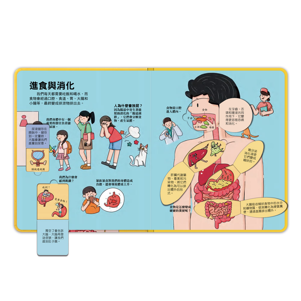 百問百答圖解翻翻書-揭祕身體